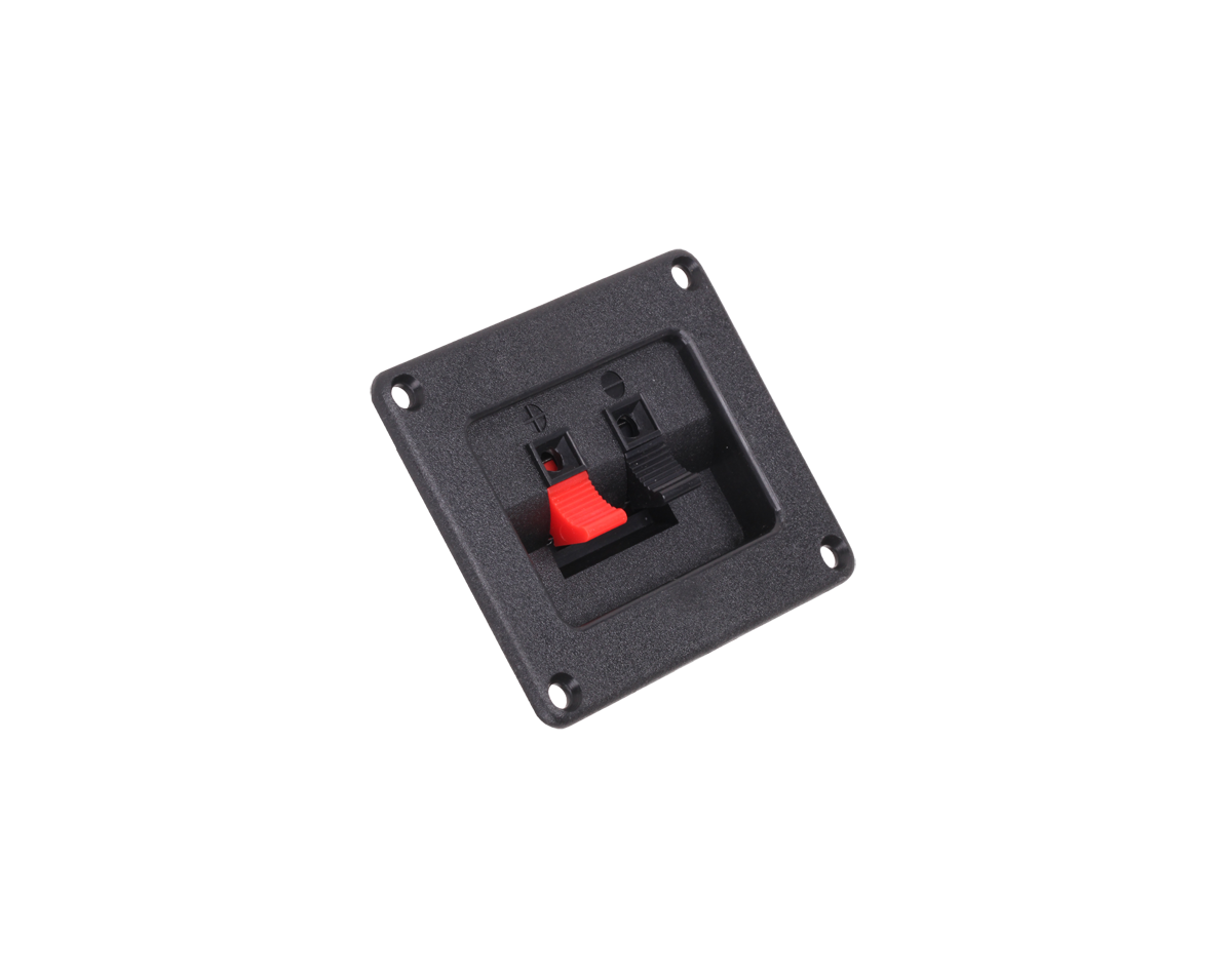 2PIN garsiakalbis terminalas lizdas