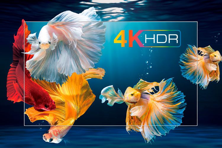 4K HDR : wzmocniony kontrast, kolory i zachwycające detale