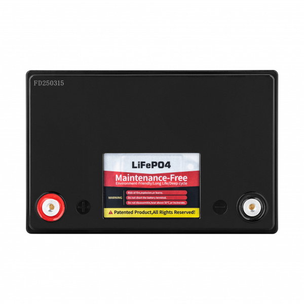 Akumulator LiFePO4 100Ah z BMS