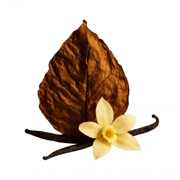 Drewniany zapach do samochodu DUFT Tobacco&Vanilia, naturalny dyfuzor z uchwytem