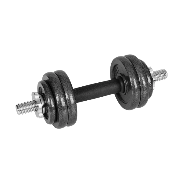 Hantle żeliwne regulowane w walizce z gryfem, zestaw 15kg REBEL ACTIVE