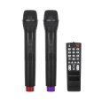 Kolumna aktywna ( z 2 mikrofonami bezprzewodowymi, SD, Bluetooth, USB) 12" 40W