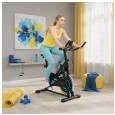 Rower spinningowy REBEL ACTIVE model RBA-1008